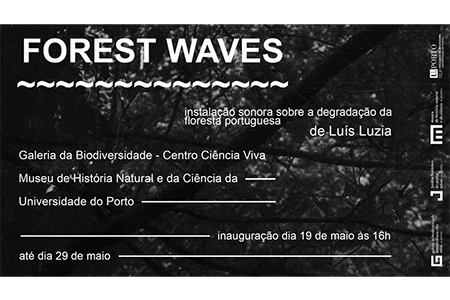 The Sound Installation “Forest Waves” on display at the Biodiversity Gallery until May 29
