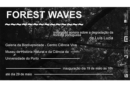 Instalação Sonora Forest Waves patente na Galeria da Biodiversidade até 29 de maio